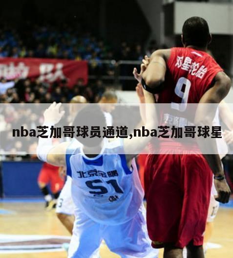 nba芝加哥球员通道,nba芝加哥球星